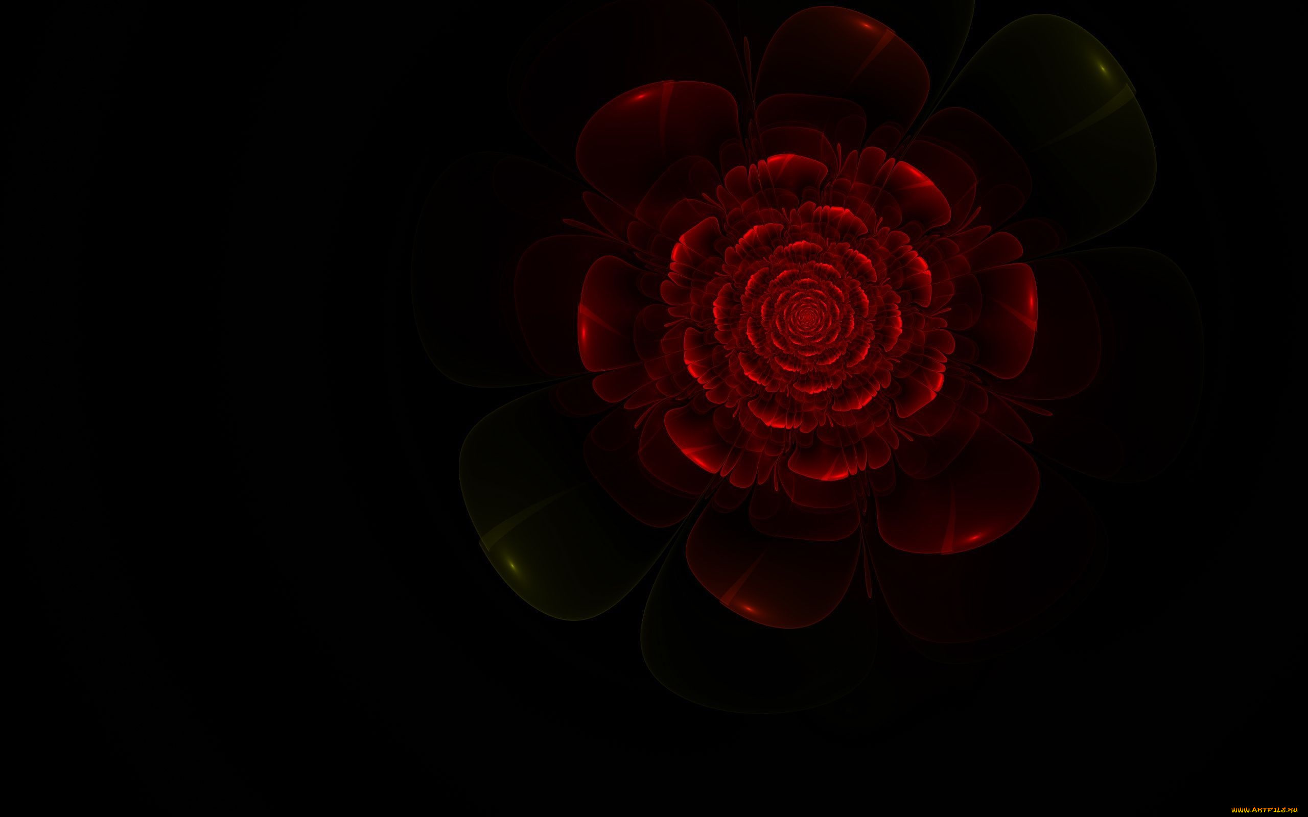 3 ,  , flowers, 